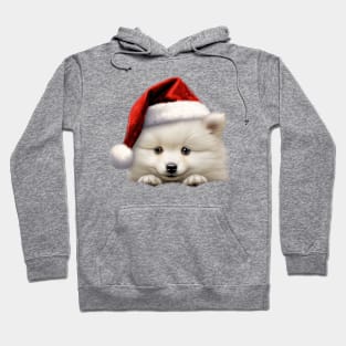 Christmas Peeking Puppy Hoodie